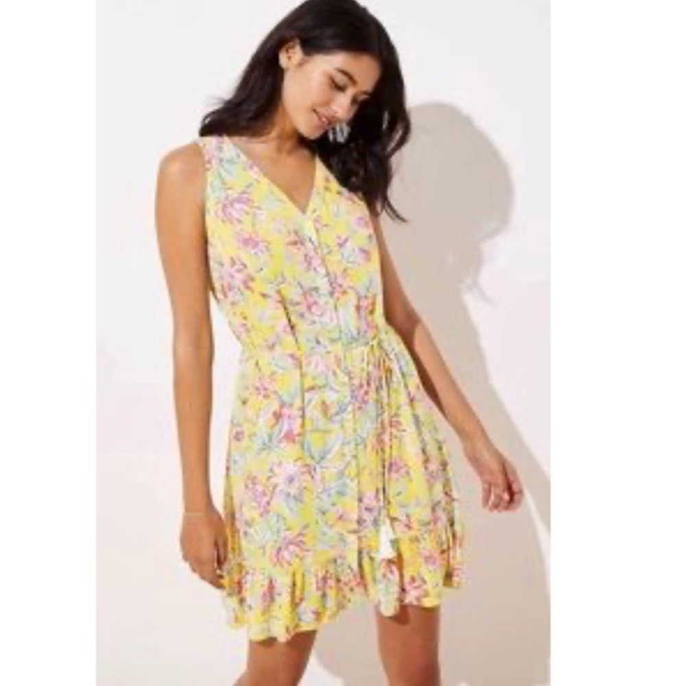 Ann Taylor LOFT Beach Floral Woven Gauze Button Down Sleeveless Shirt Dress 16